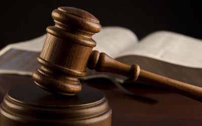 Far Rockaway Woman Indicted  on Animal Cruelty Charges
