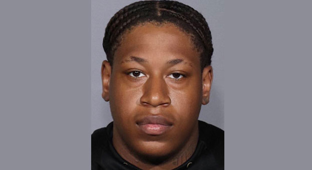 Cops Seek South Ozone Park Robber