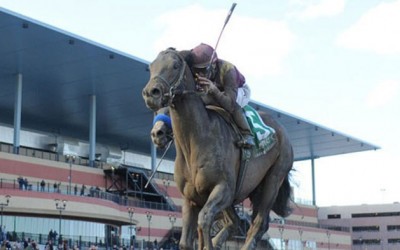 Racing Fan Advisory Council Could be  Permanent Part of State Gaming Commission