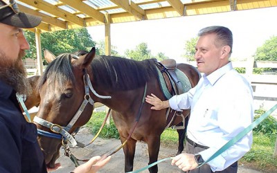 Benefits of Riding—Straight from Horse’s Mouth