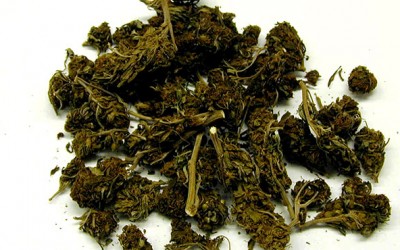 Two Arrested for Pushing Pot from Cali to Queens