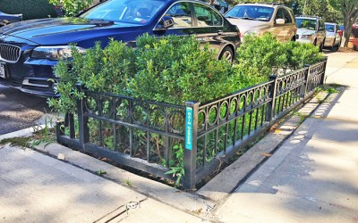 Mayor Touts Benefits of Rain Gardens