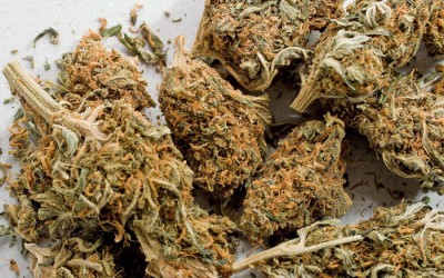 New Marijuana Use  Laws now in Effect