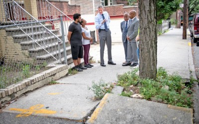 City to Stop Issuing Violations to Homeowners  for Damage Caused by Street Trees