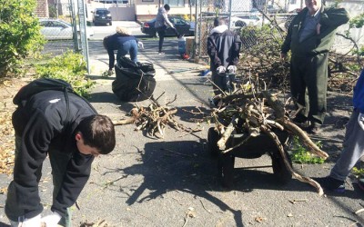 You Can Help Beautify Charles Park