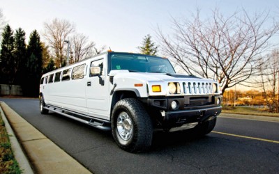 Richmond Hill Limo Driver Busted in Scam