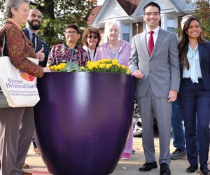 Beautification Project in Bloom