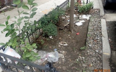 City ‘Mismanaging’  Rain Gardens: Audit