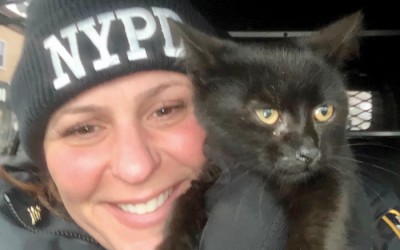A Lucky Black Cat?  Only in Queens