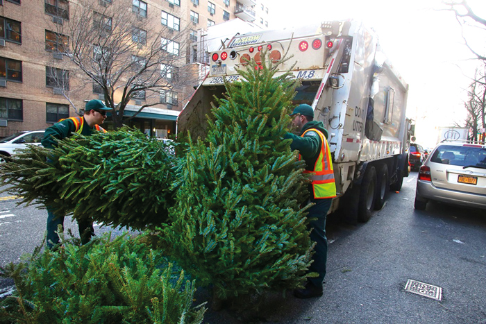 City Sanitation, Parks Departments Set for  ‘Tree-cycling’ and Mulchfest