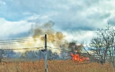 Beach Blaze: Bravest Battle Brush Fire  in Spring Creek Park