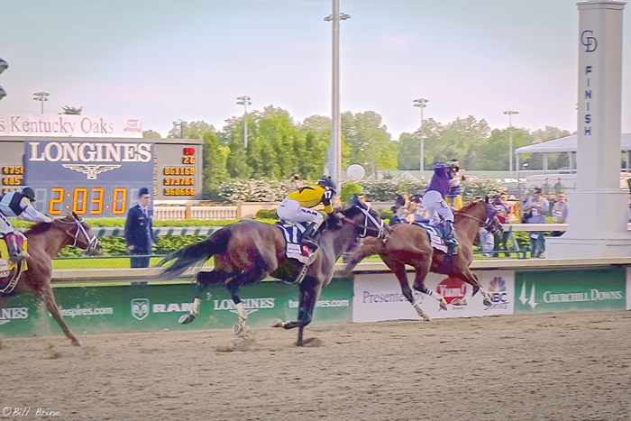Feds Dismantle Racehorse Doping Rings