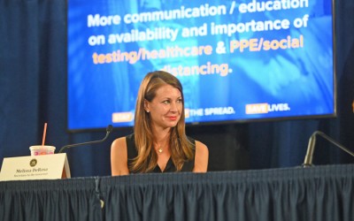 DV Task Force  Issues Findings