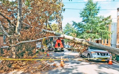 Senators Send Letter to Con Edison Demanding Answers about Response to Tropical Storm Damage