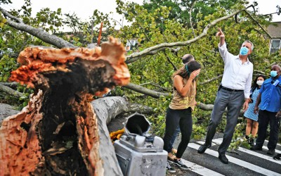 Mighty Tropical Storm Inflicts  Major Damage on World’s Borough