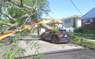 Pols Urge Trump to Back NY Disaster Declaration