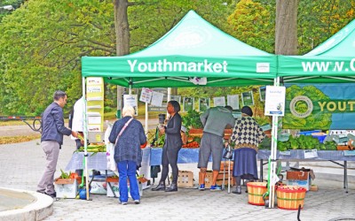 Popular Richmond Hill Farmers’ Market  Set to Return to Forest Park