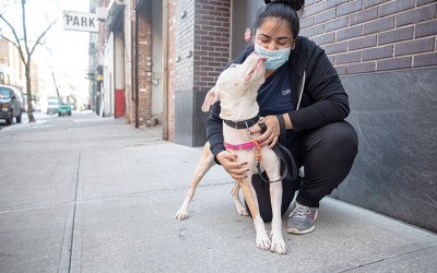 ASPCA Announces $1M in Funding  to Support Animal Care Centers of NYC