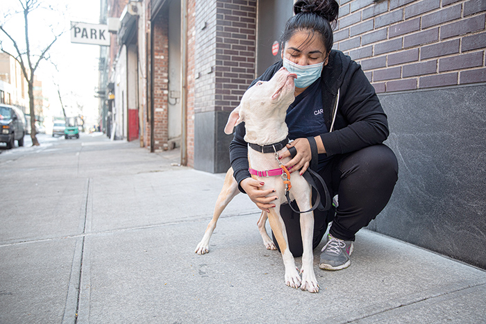 ASPCA Announces $1M in Funding  to Support Animal Care Centers of NYC