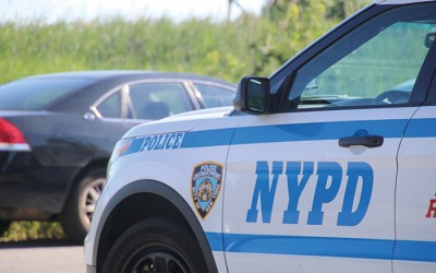 Armed Assailants Raid Woodhaven Home, Tie up Residents