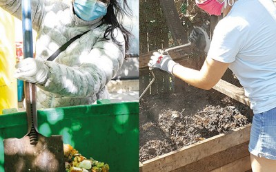 City Announces Return of Curbside Composting