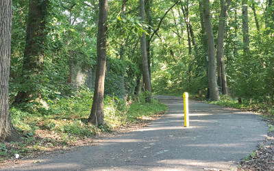 Apply for Grants  to Help Maintain Parks