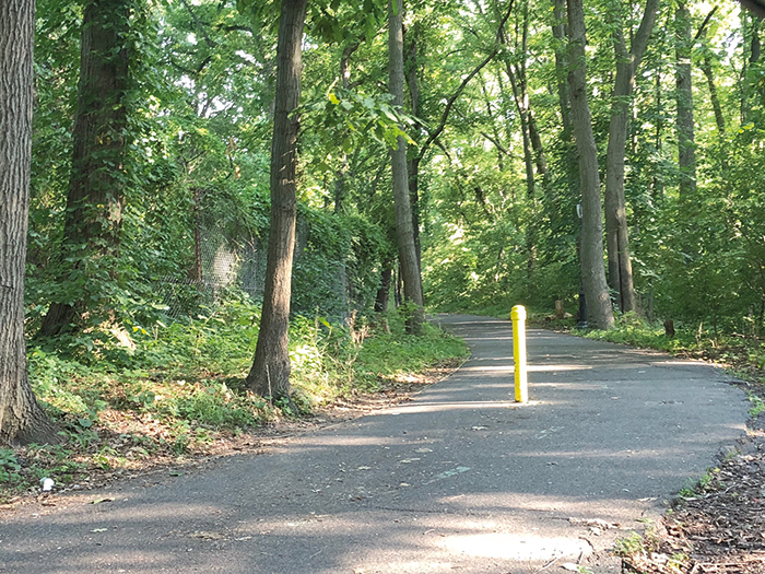 Apply for Grants  to Help Maintain Parks