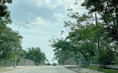 Cohancy Overpass  Set for Paint Job