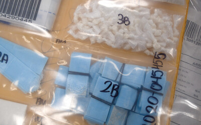 Network of Drug Dealers, Gun Traffickers Taken Down after Long-Term Investigation