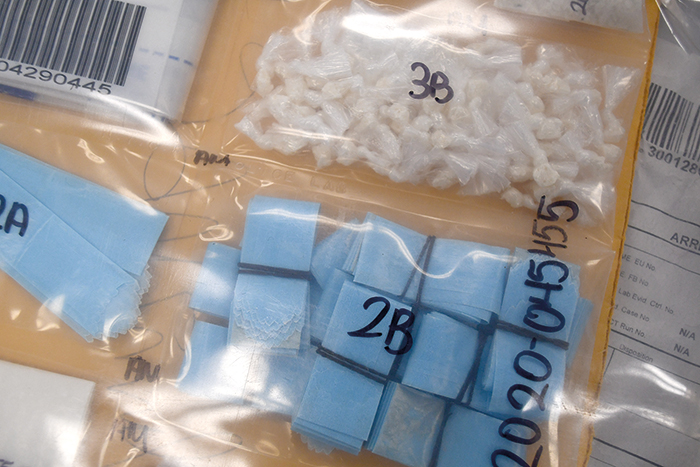 Network of Drug Dealers, Gun Traffickers Taken Down after Long-Term Investigation