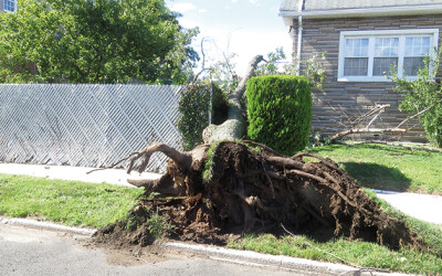Cuomo Announces $86.2 Million in Settlements  with Utilities for Failures Related to Emergencies