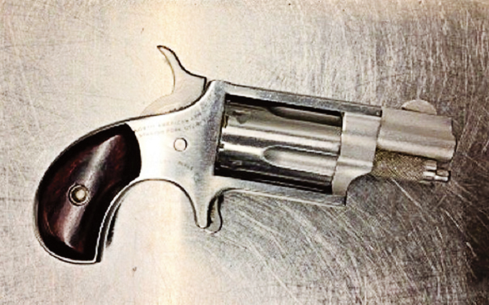 TSA Stops Man with Loaded Gun at JFK Airport
