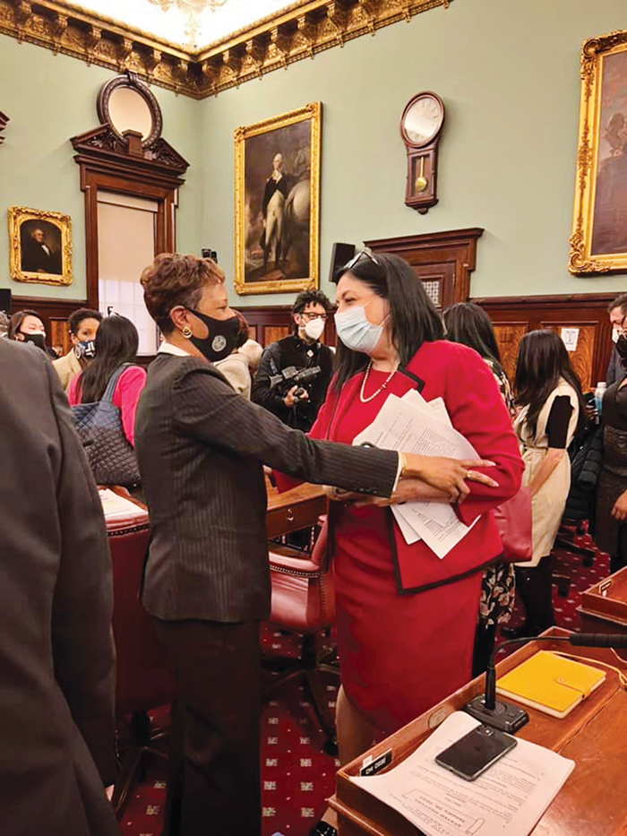 Ariola Tapped to Lead Council Committee