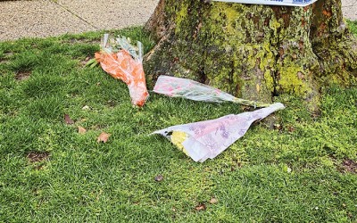 Cops Hunt Forest Hills Mom Slayer