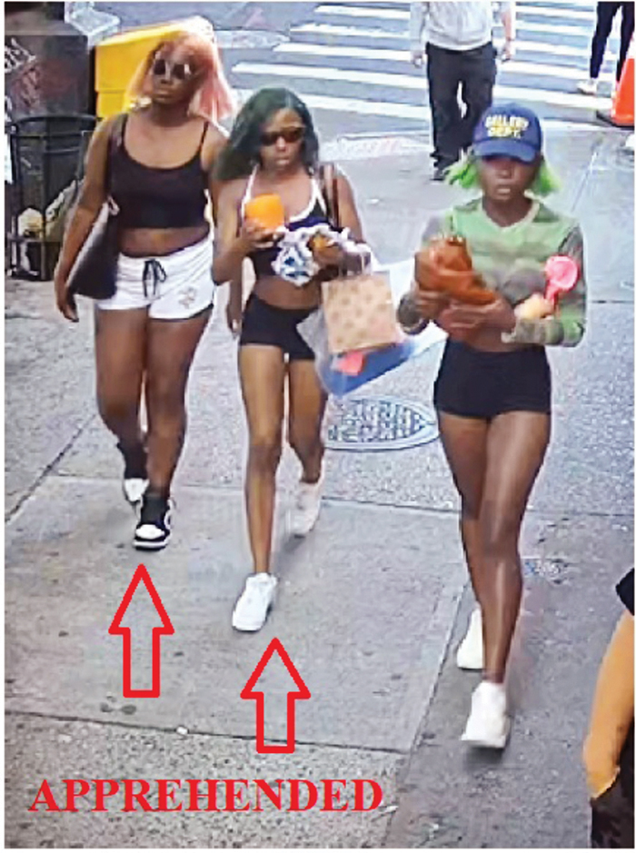 Double Trouble: Two Teen Girls Charged with Hate Crimes in Woodhaven Bus Attack