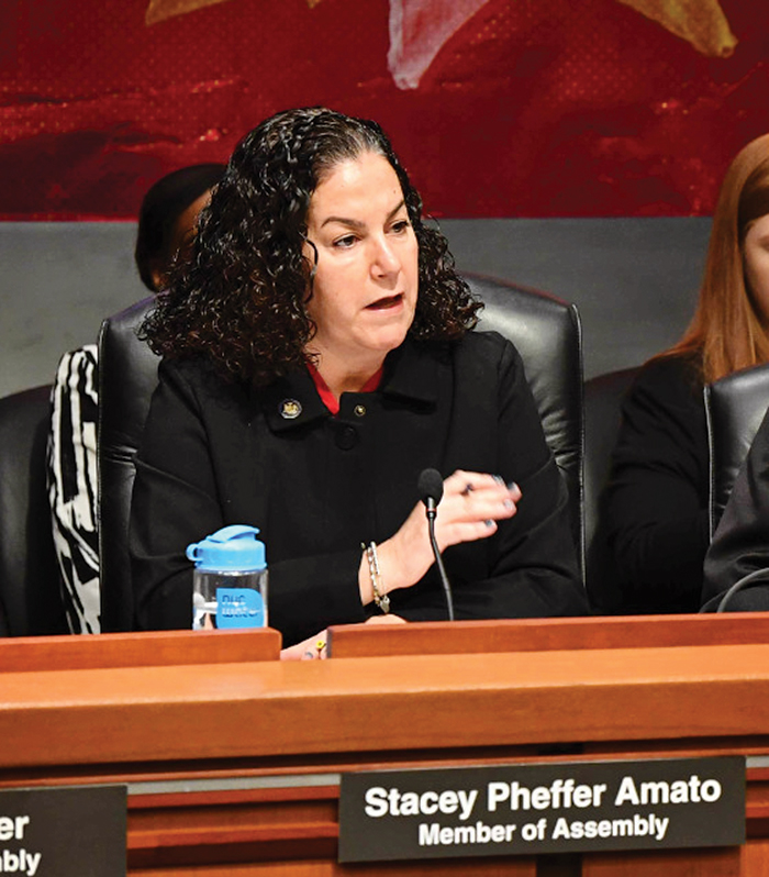Area Pol Appointed to LIPA Commission