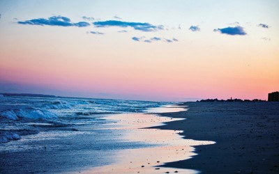 Shark Sighting Causes Beach Closure