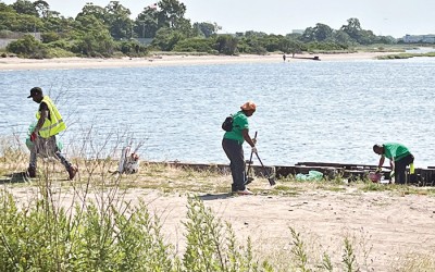 Ariola Allocates Funds to Clean up Addabbo Bridge