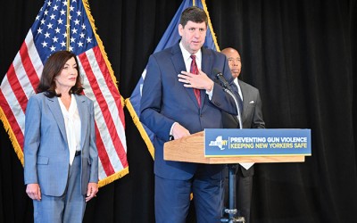 Hochul Lauds Gun Task Force Results