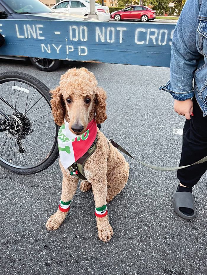 Photo Courtesy of Councilwoman Ariola Everybody got in the Italian holiday spirit!