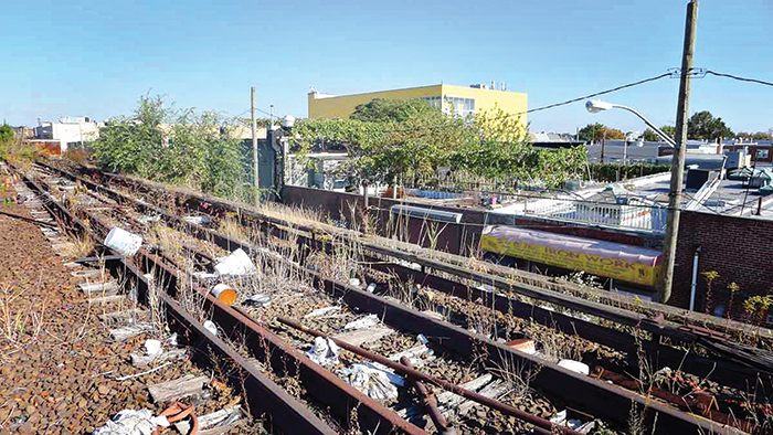 QueensLink Supporters Hold Rally in Rockaway