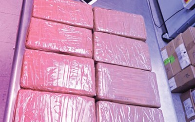 Twenty-Four Pounds of Cocaine Seized at JFK