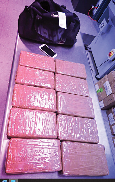 Twenty-Four Pounds of Cocaine Seized at JFK