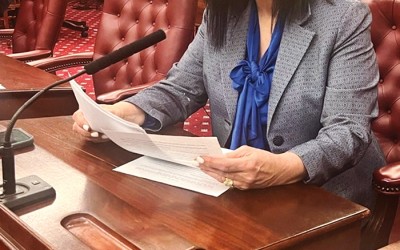 Ariola Explains ‘No’ Vote on Idling Bill
