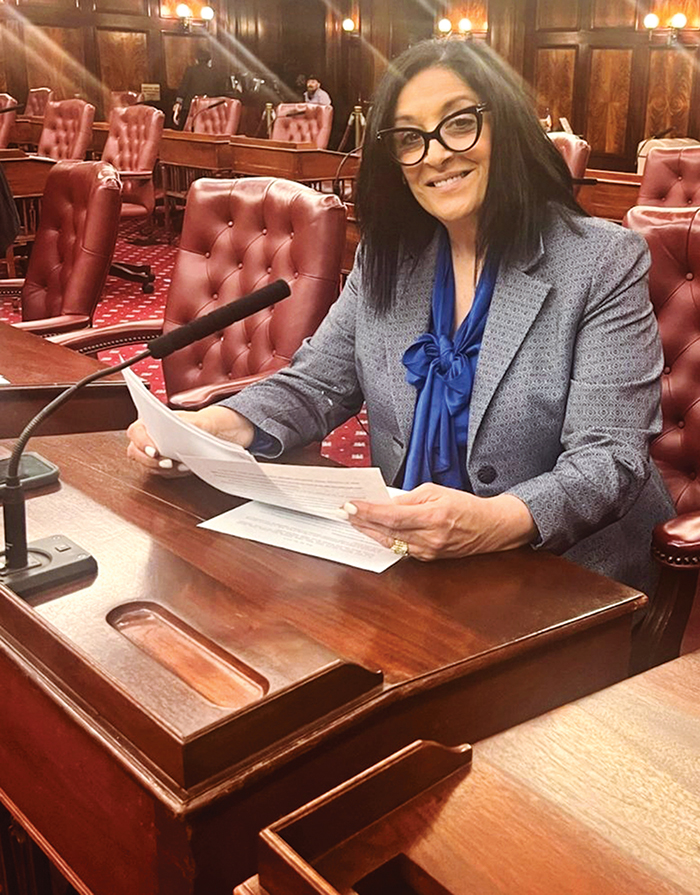 Ariola Explains ‘No’ Vote on Idling Bill