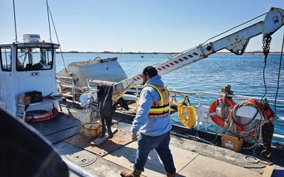 Ariola, Ecowatchers Spearhead Removal of Marine Debris from Jamaica Bay