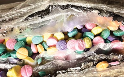 Fentanyl Pills Destined for NYC Intercepted by Federal Officers