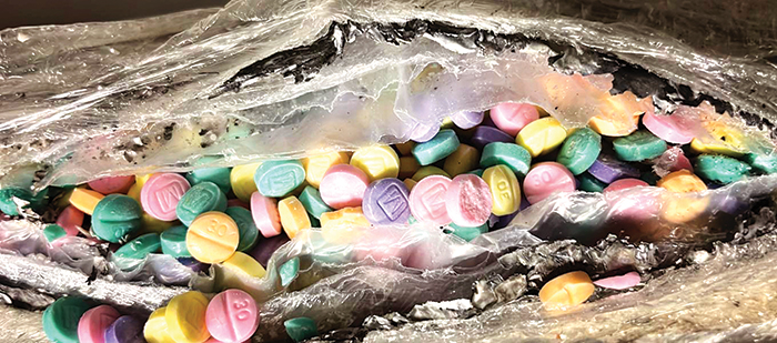 Fentanyl Pills Destined for NYC Intercepted by Federal Officers