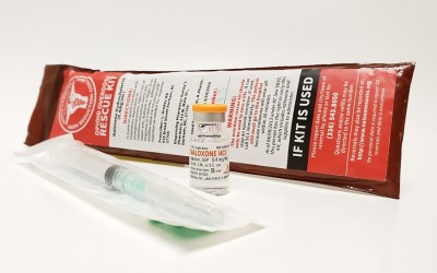 Addabbo, J-CAP Organize Training Course to Help Prevent Opioid Overdose Deaths