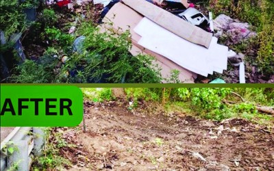 Ariola Lauds Lindenwood Cleanup Effort